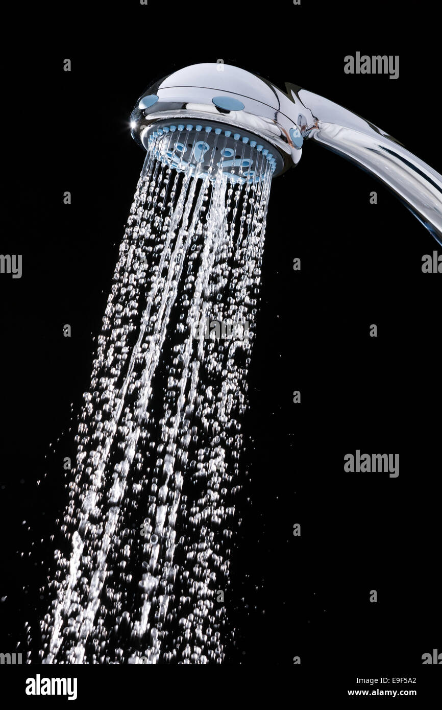 Heads out of the water hires stock photography and images Alamy