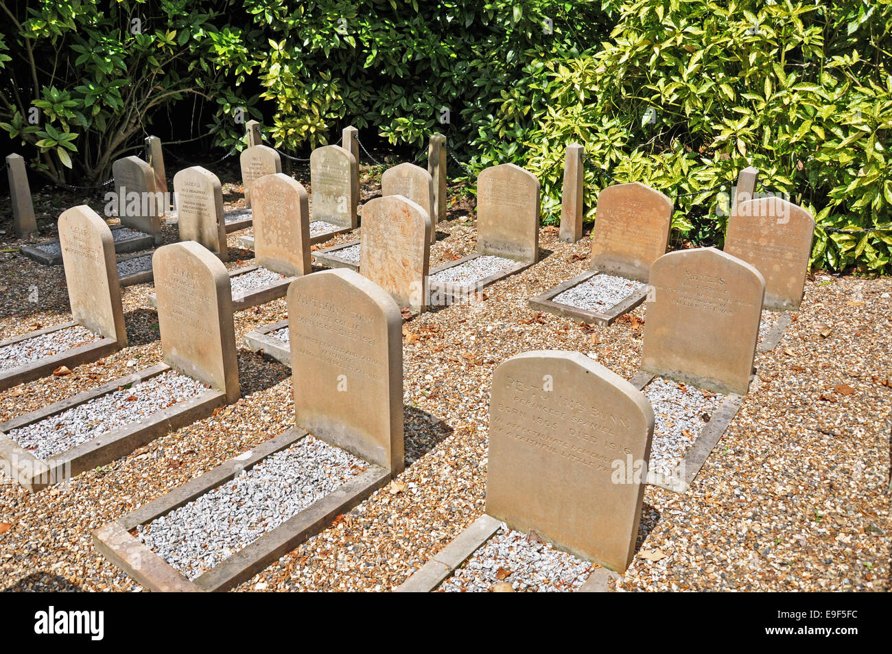 Engraved headstones hi-res stock photography and images - Alamy