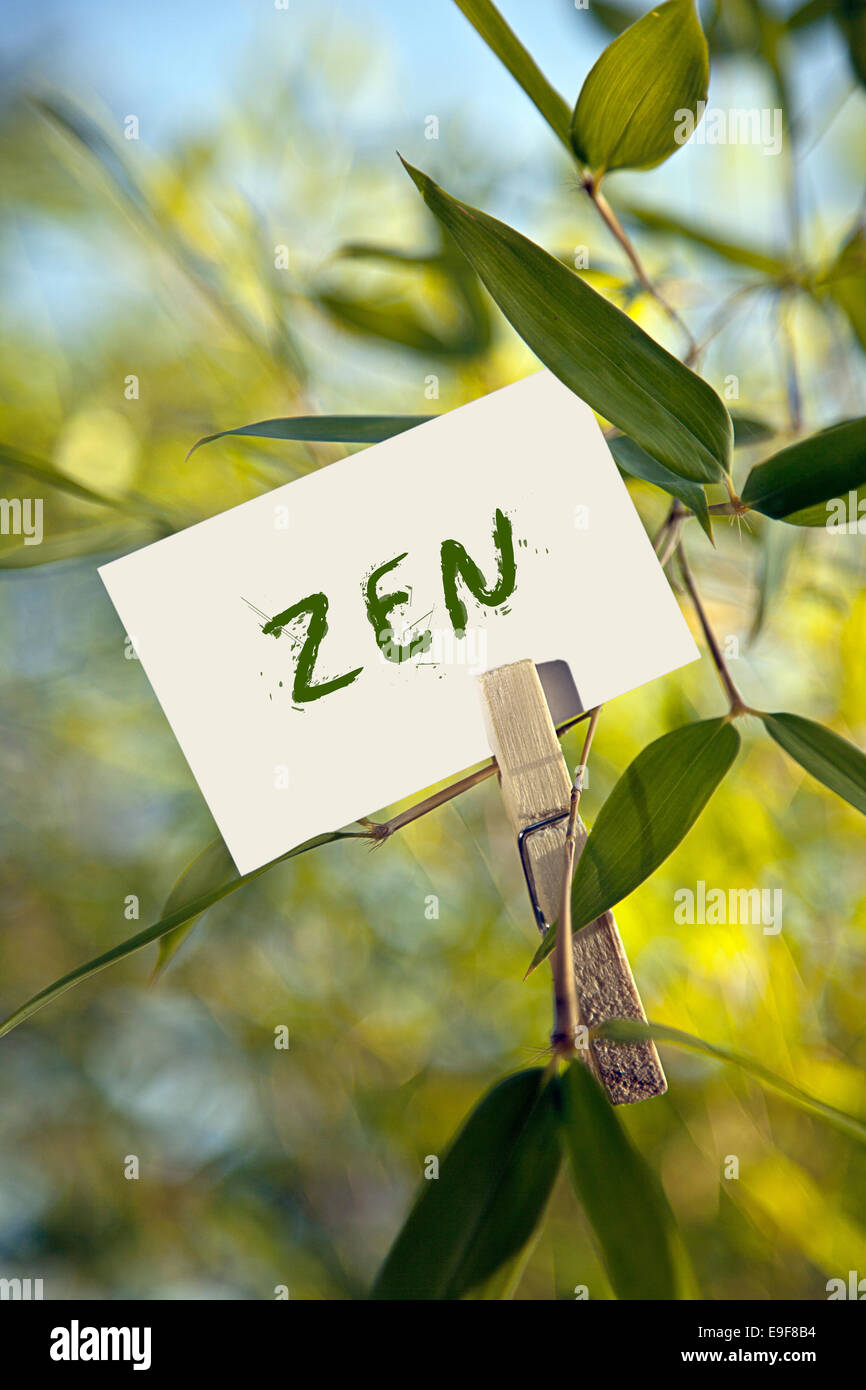 The word Zen attached to bamboo Stock Photo Alamy