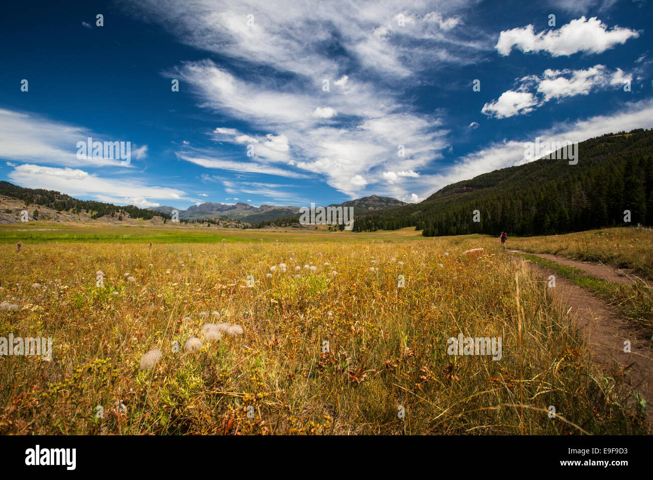 slough creek trail yellowstone