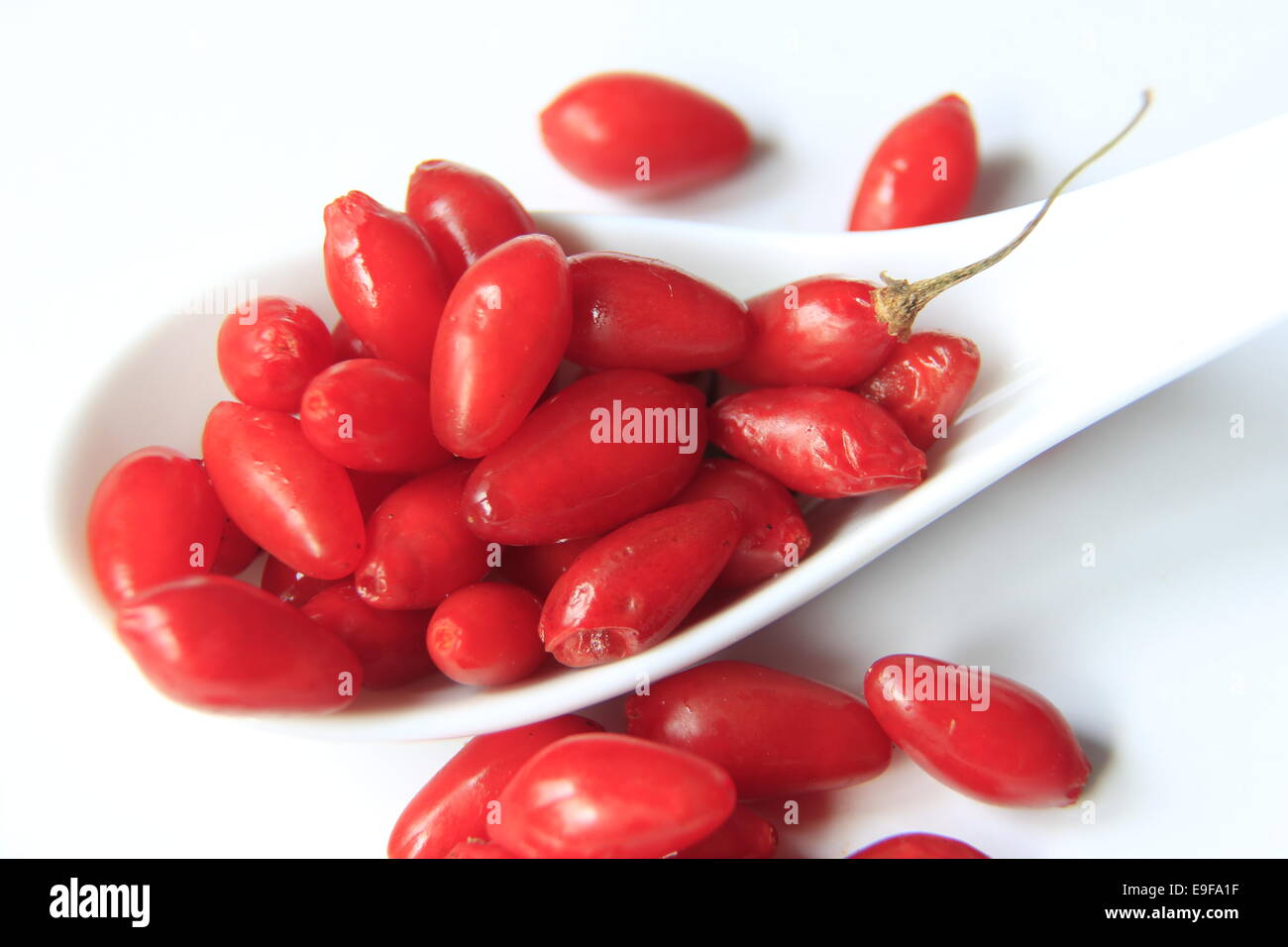Goji berries (Lycium barbarum) Stock Photo