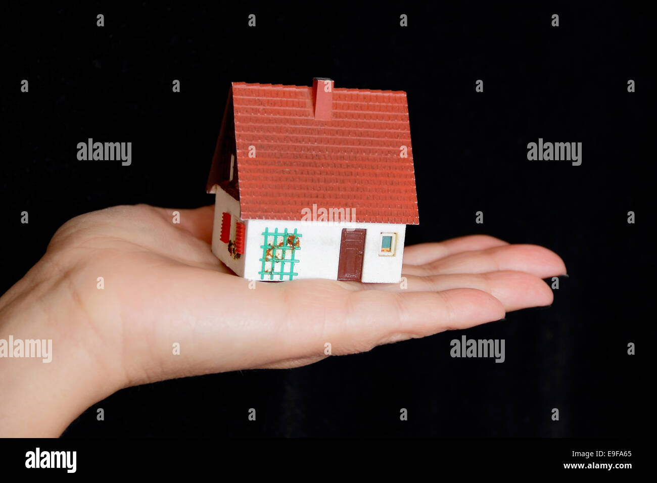 House in hand Stock Photo Alamy