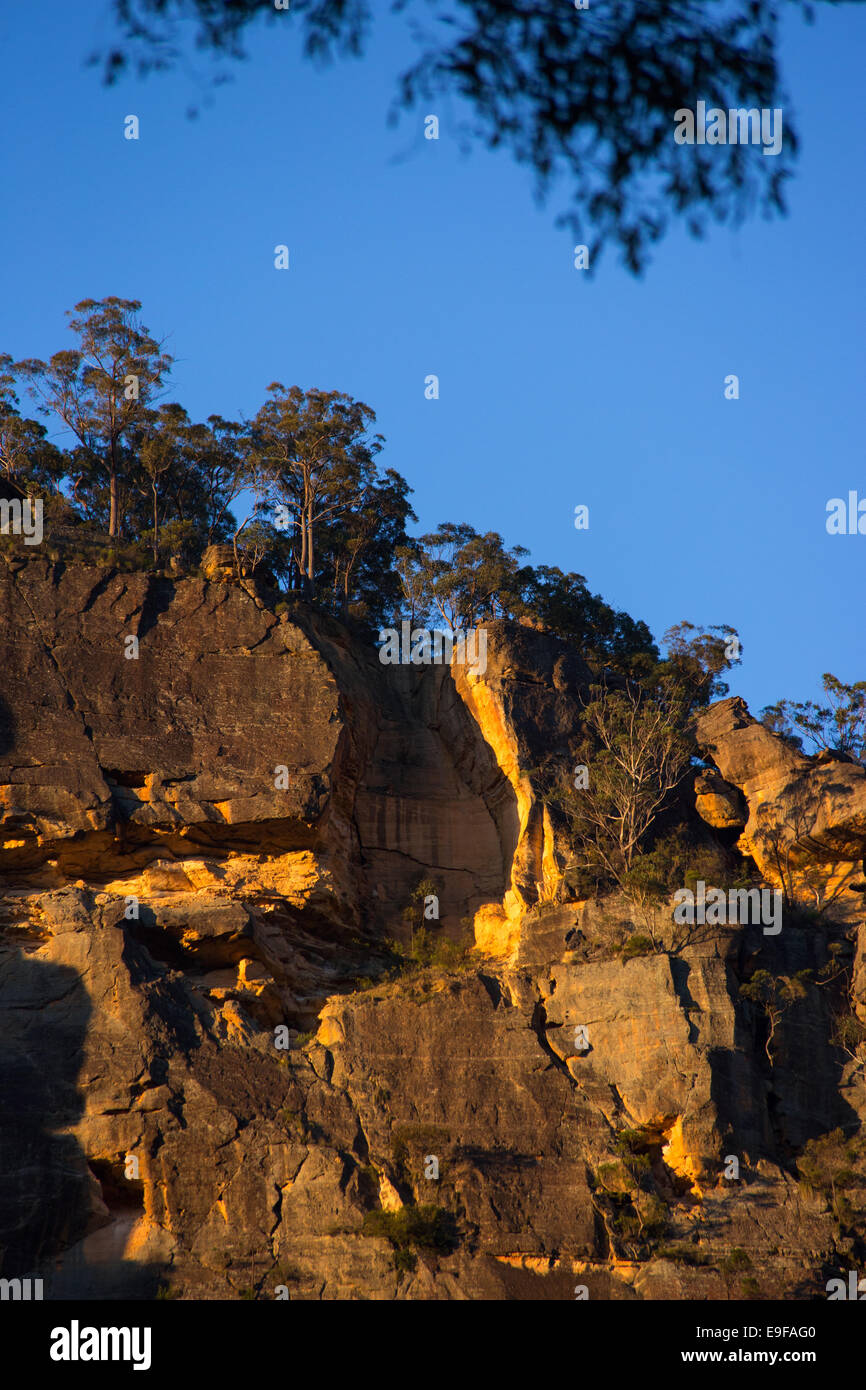 Rugged sandstone cliffs in warm late afternoon sunlight, Wollemi National Park, NSW, Australia Stock Photo
