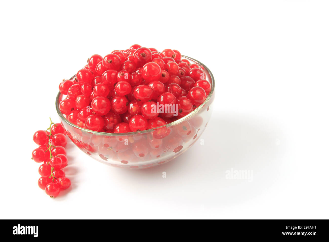 Red currants (Ribes rubrum) Stock Photo