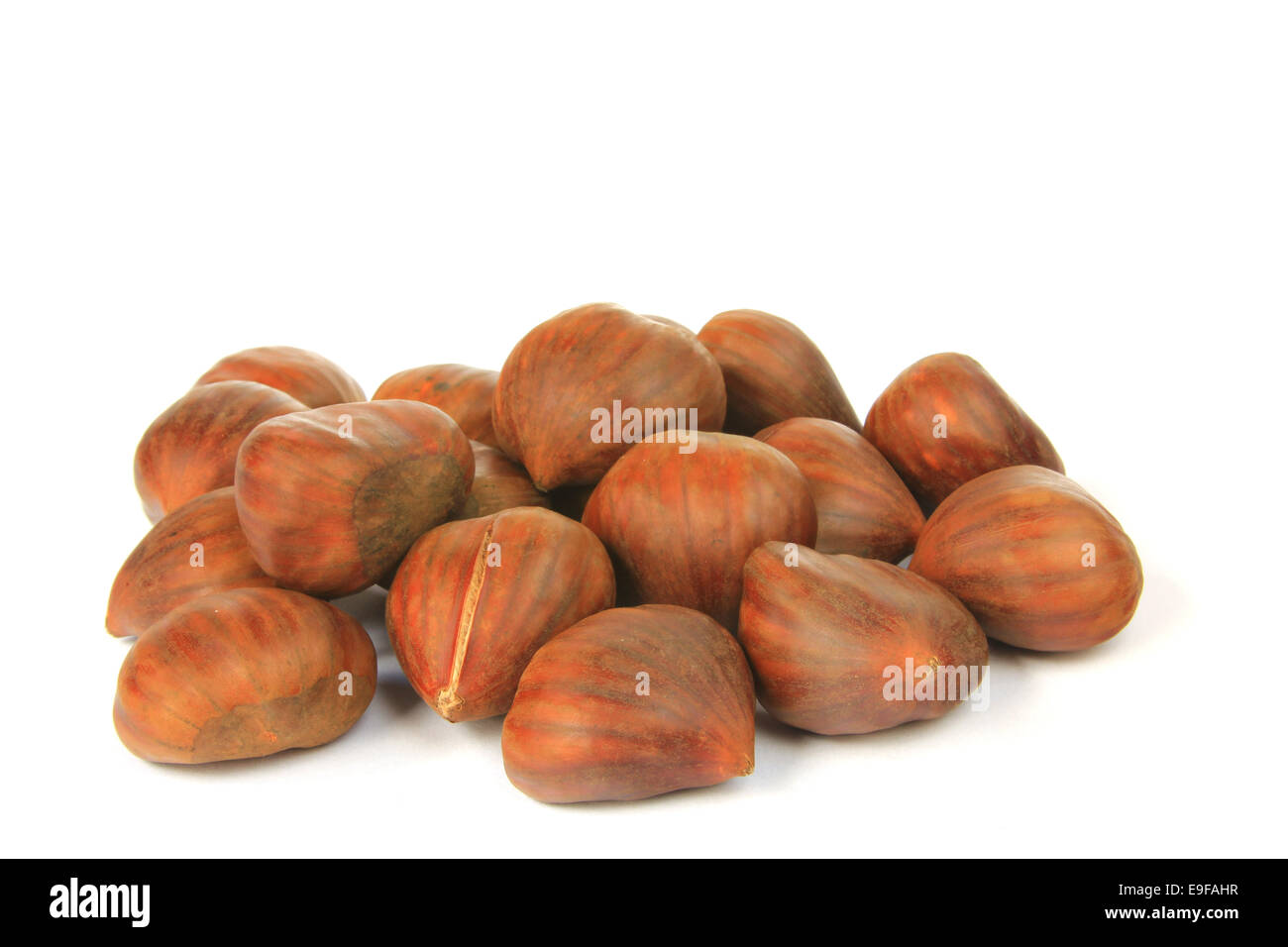 Sweet chestnuts (Castanea sativa) Stock Photo