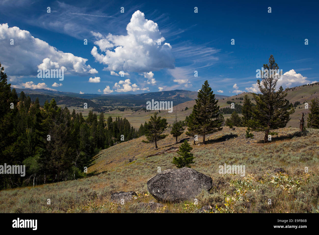 lamar valley trail