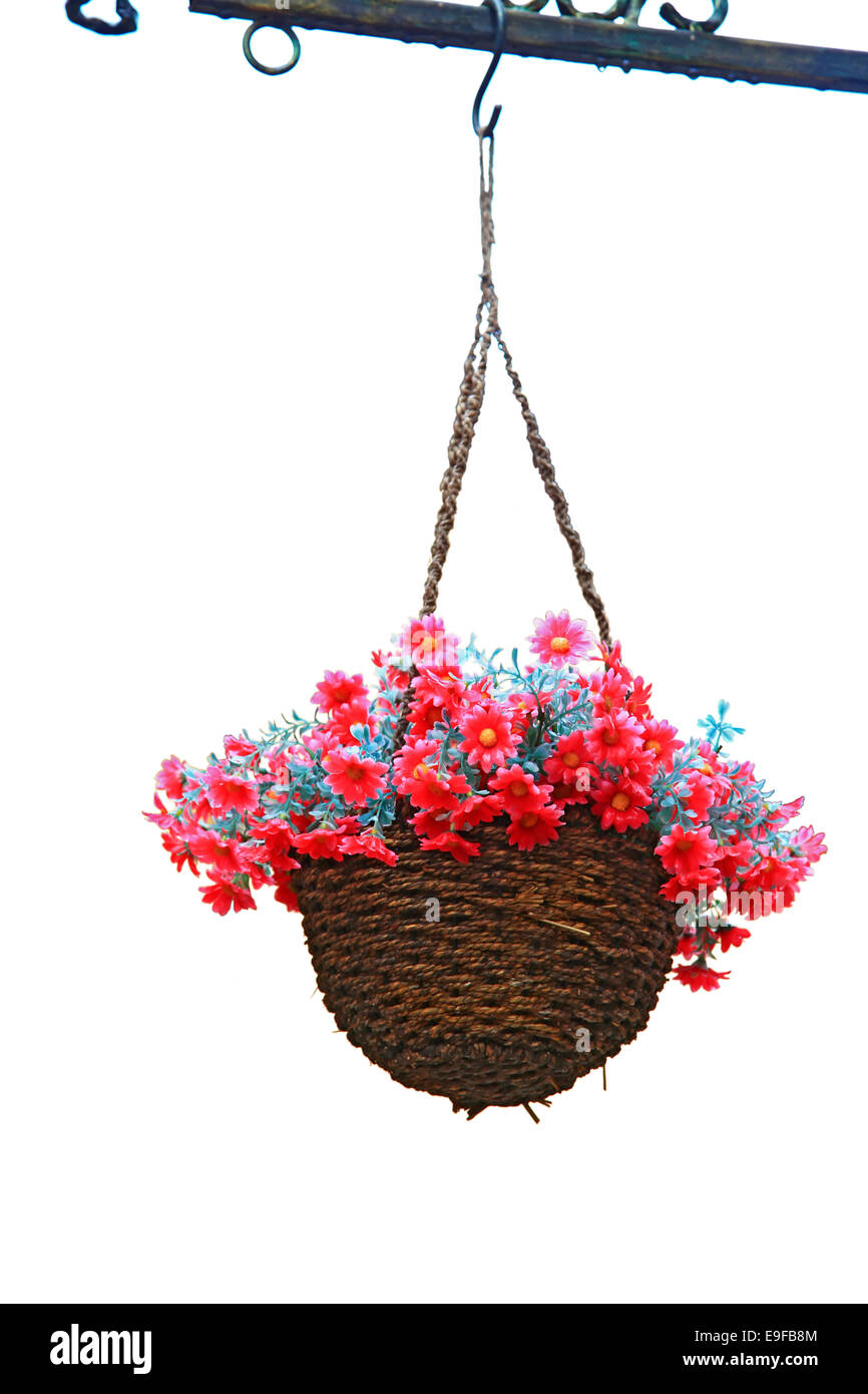 hanging flower basket Stock Photo Alamy