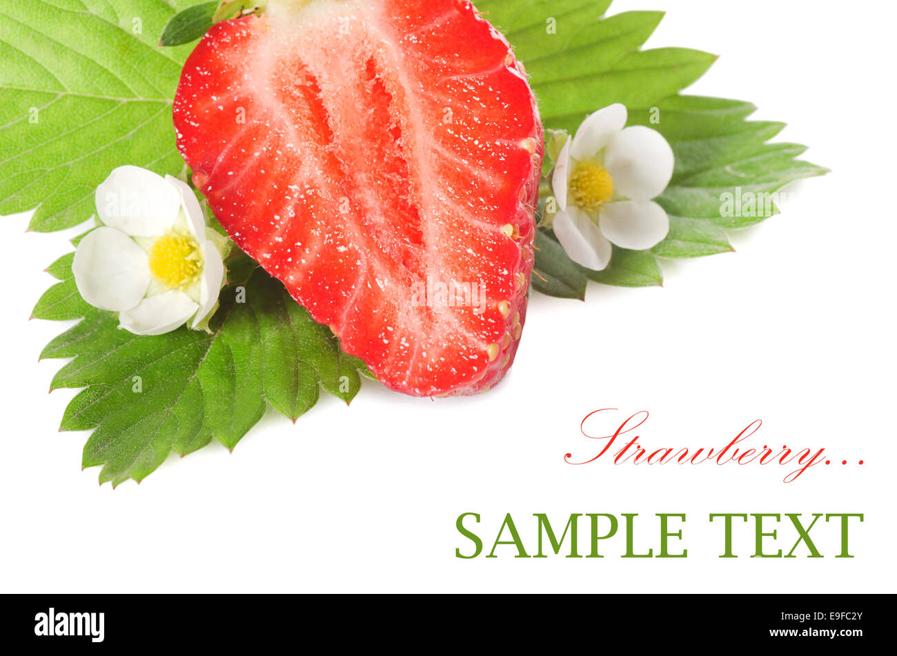Close shot strawberry flower hi-res stock photography and images - Alamy