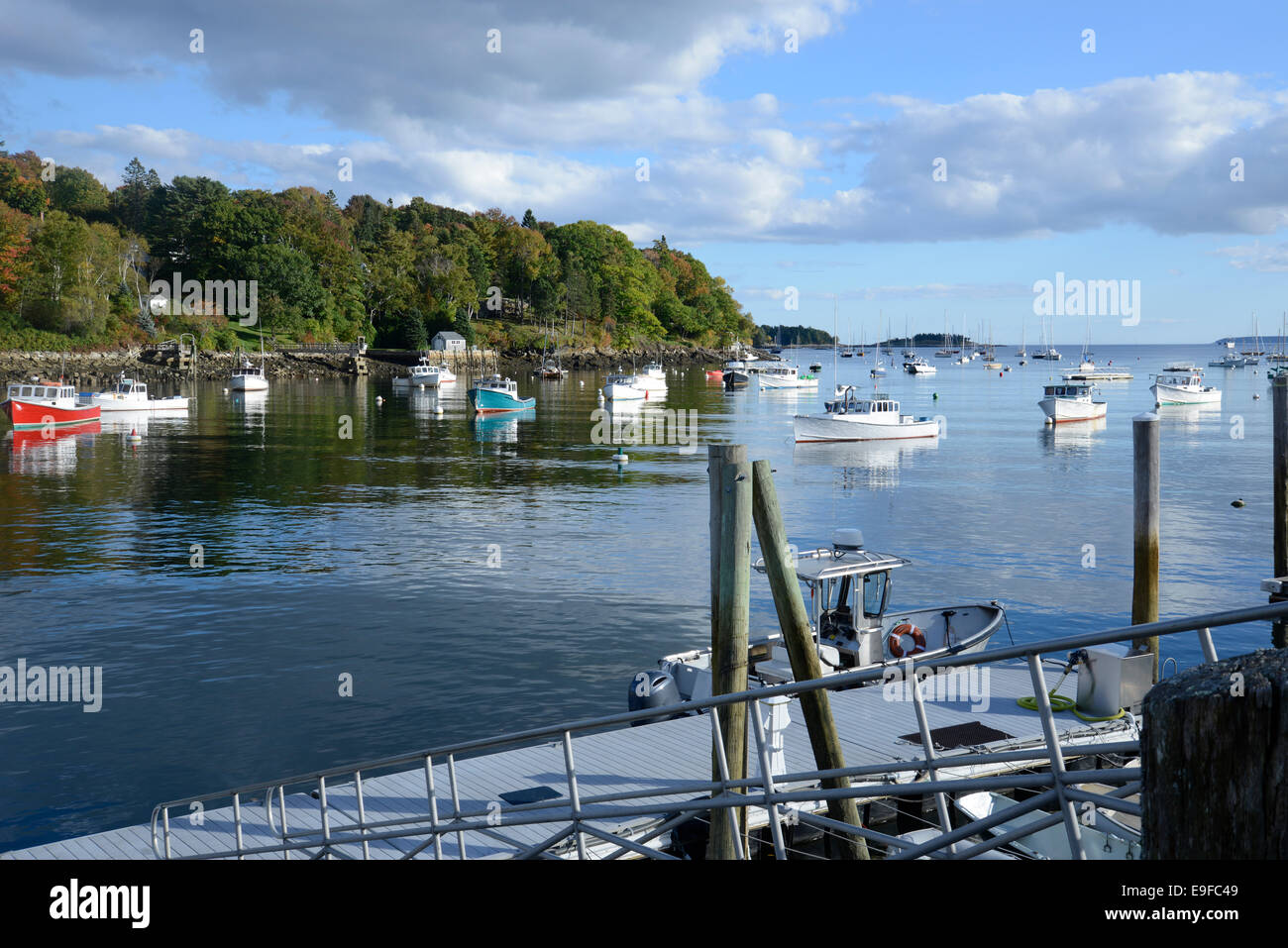 many types of boats docked in the Rockport Marine Harbor near Camden