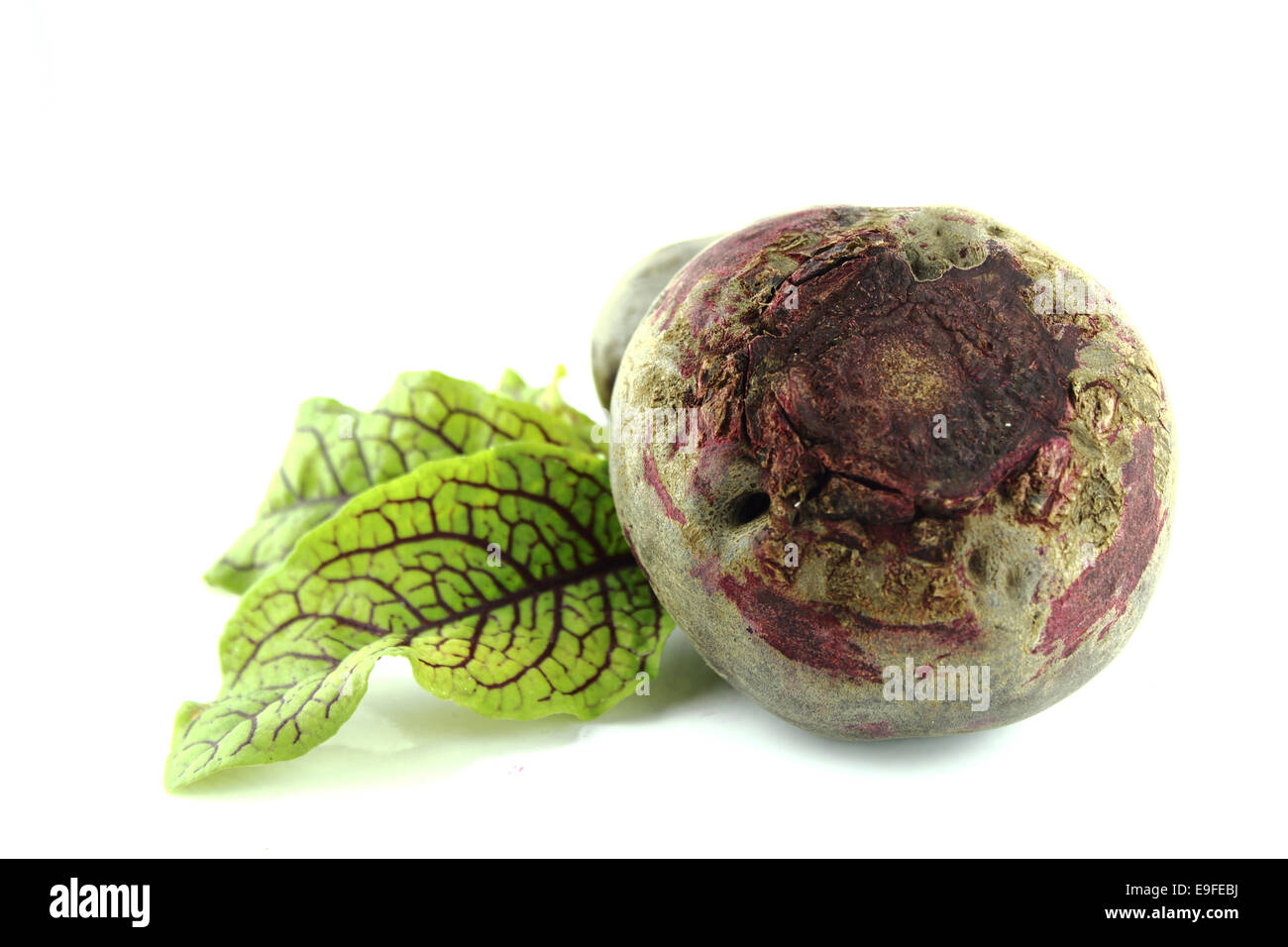 Beetroot cut cut hi-res stock photography and images - Alamy