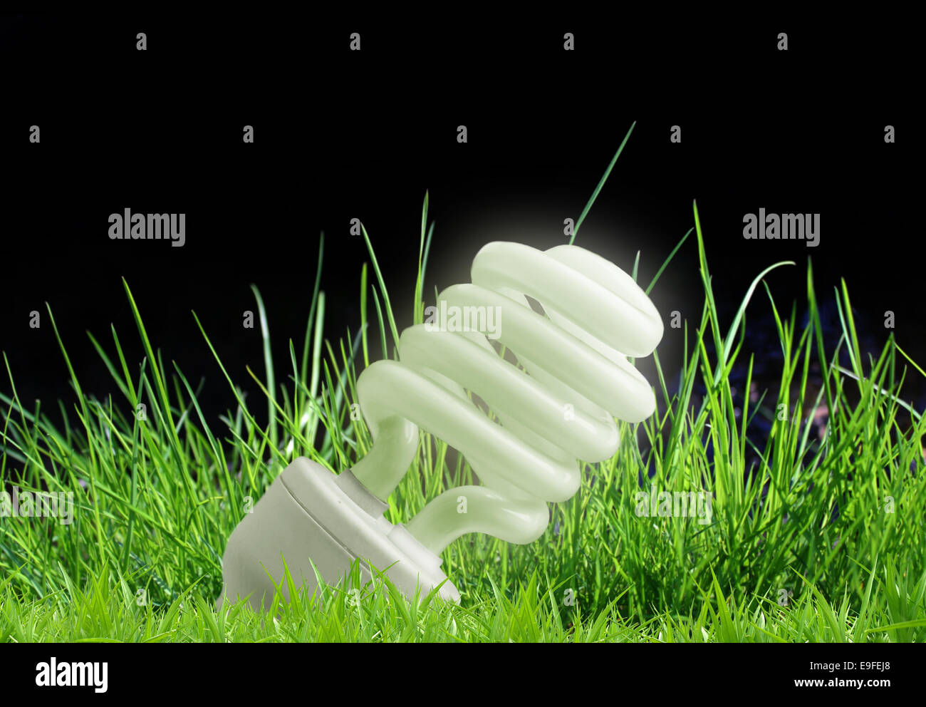 Eco-friendly light bulb lying in the grass Stock Photo