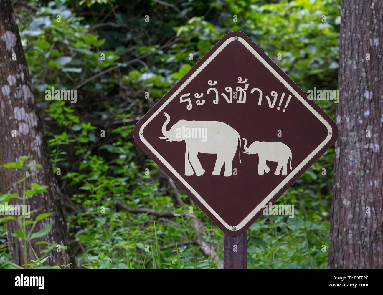 Roadside sign warning Elephants are found in the area, Huai Kha Khaeng Wildlife Sanctuary, Thailand Stock Photo