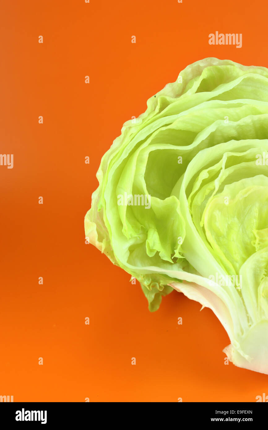 Green Iceberg lettuce Stock Photo Alamy