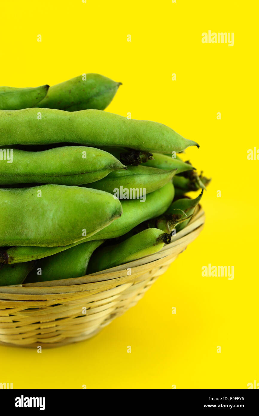 broad bean pods and beans Stock Photo Alamy