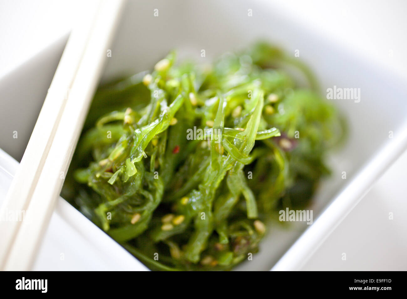 Wakame seaweed salad Stock Photo