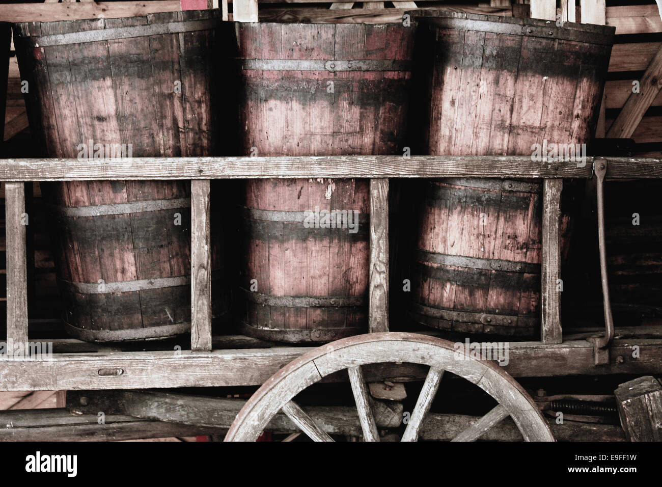 Old wooden vats, Alsace, France Stock Photo