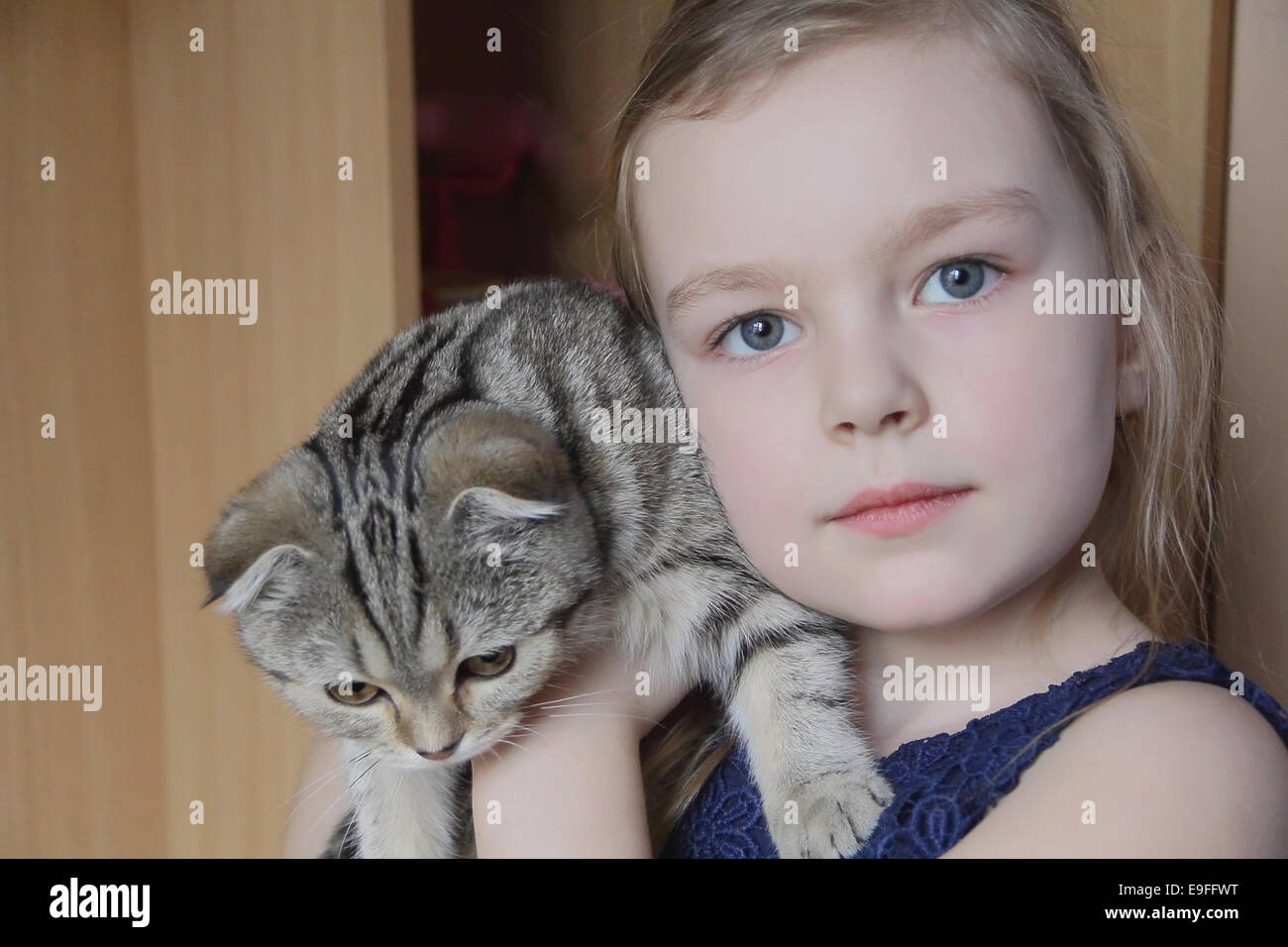 Girl with grey kitty Stock Photo