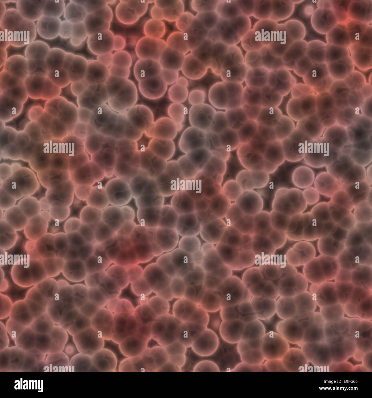 Red bacterial cells glowing Stock Photo Alamy