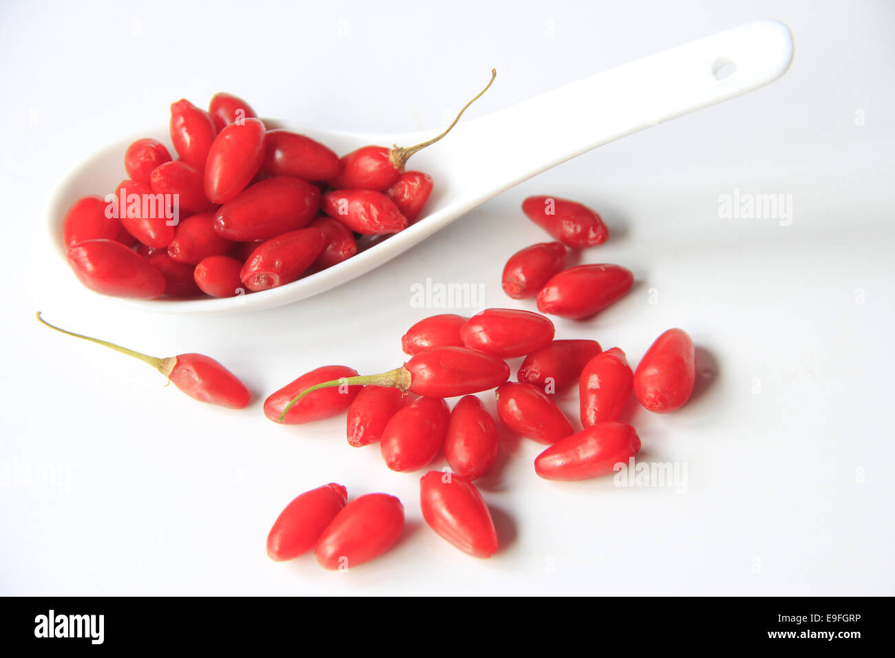 Ripe goji-berries (Lycium barbarum) Stock Photo