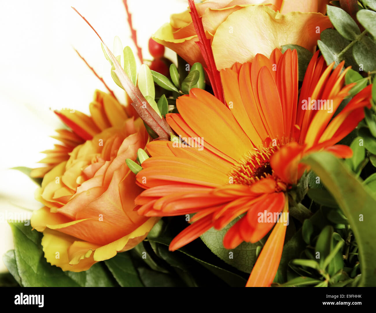 Orange flowers Stock Photo