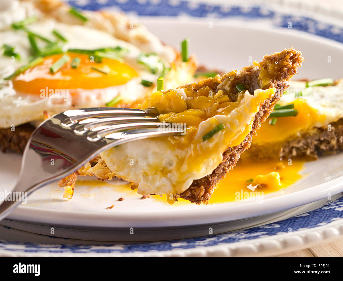 Fried egg on a slice of bread. Stock Photo