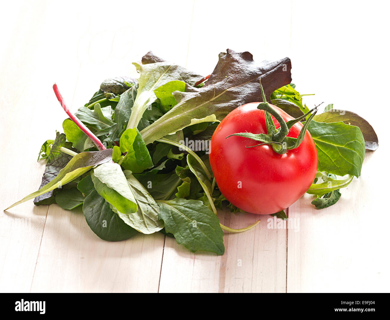 Italian picking salad and tomatoes Stock Photo