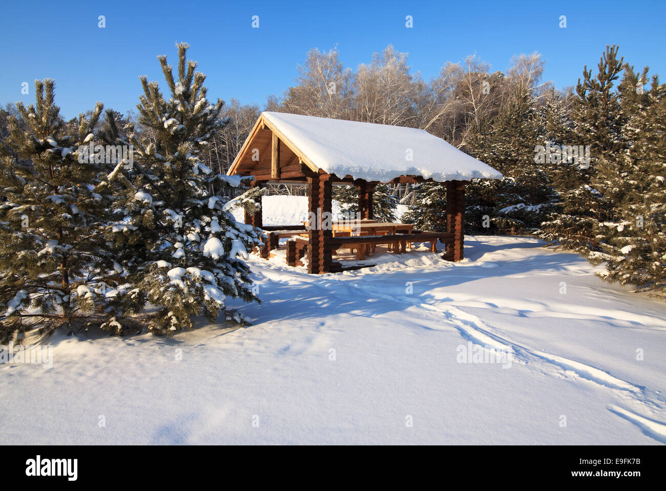 Wooden gazebo in the winter forest Stock Photo - Alamy
