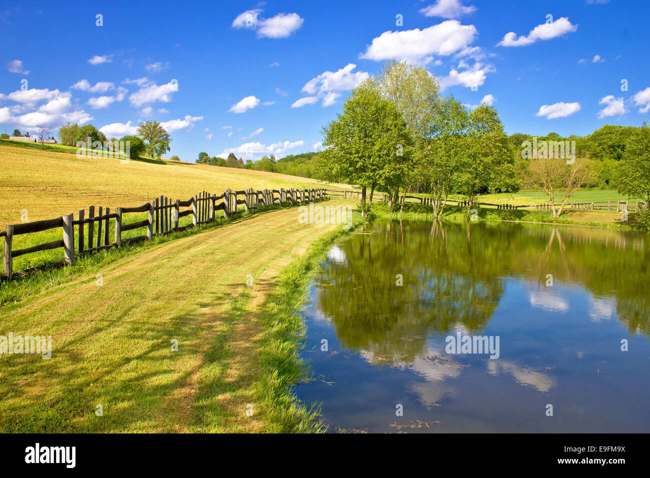 Green lake and fields  landscape Stock Photo