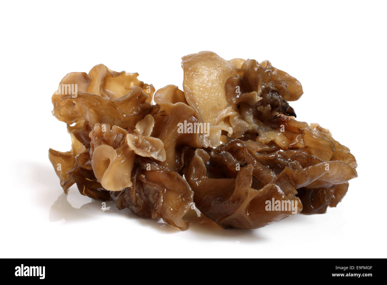 Black chinese fungus Cut Out Stock Images & Pictures - Alamy