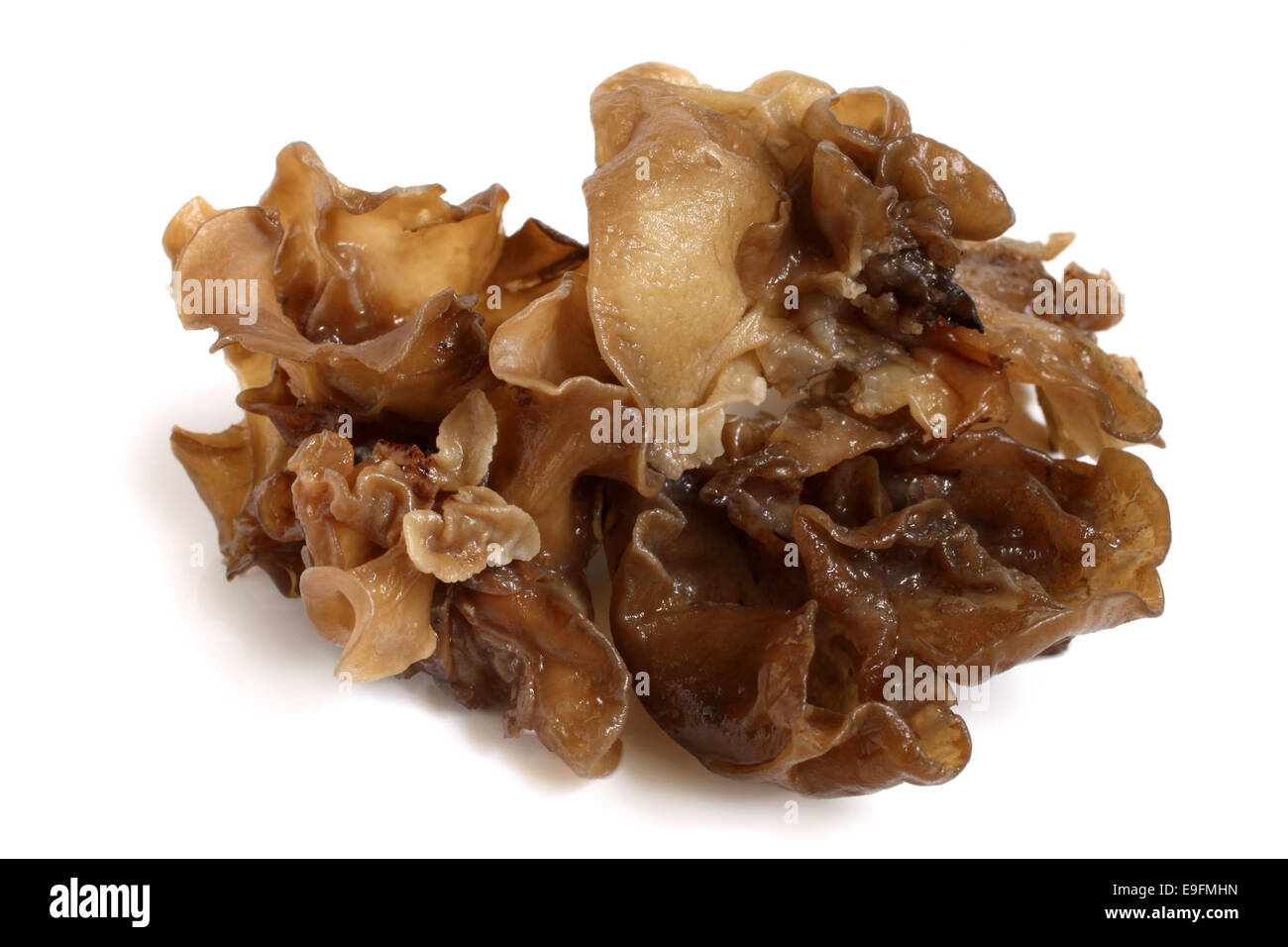 Black chinese fungus Cut Out Stock Images & Pictures - Alamy
