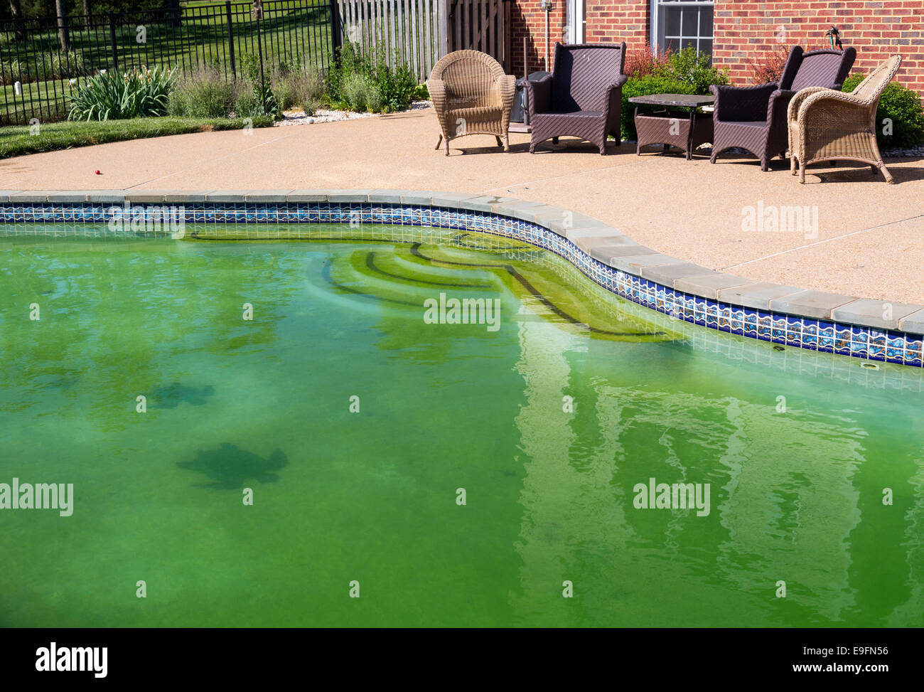 Filthy backyard swimming pool and patio Stock Photo