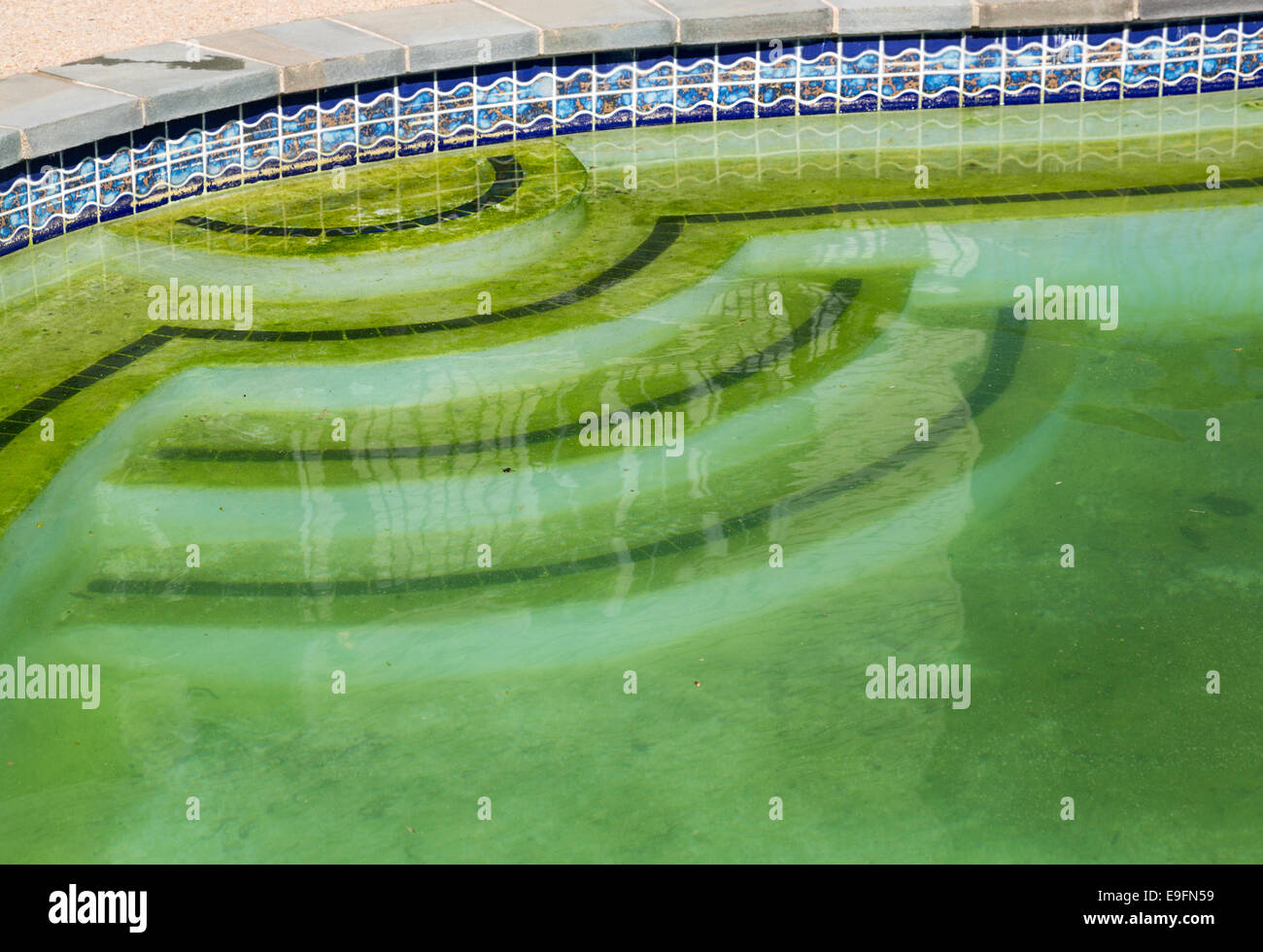 Filthy backyard swimming pool and patio Stock Photo