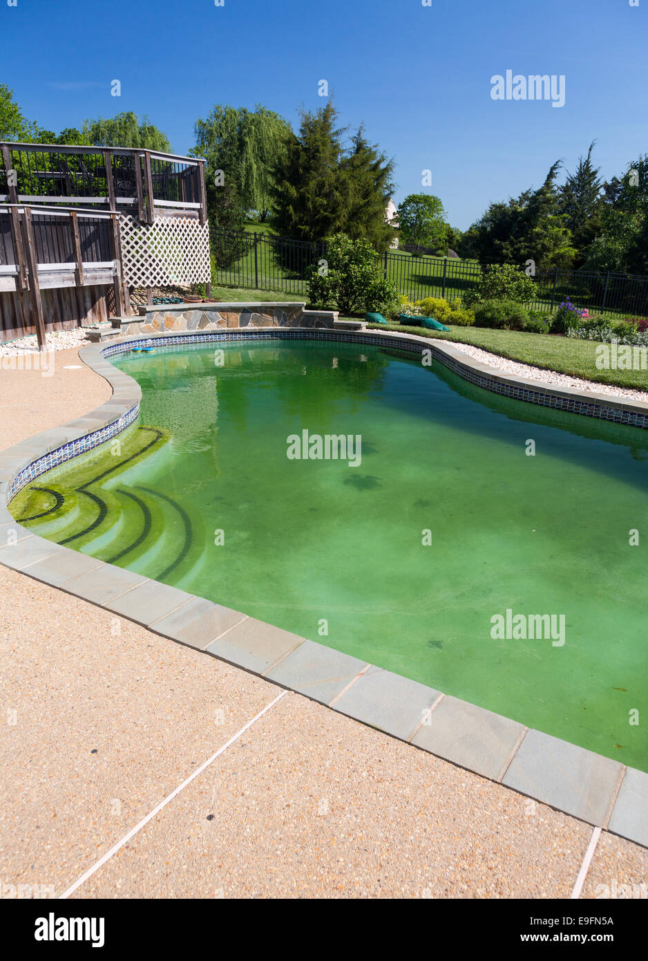 Filthy backyard swimming pool and patio Stock Photo