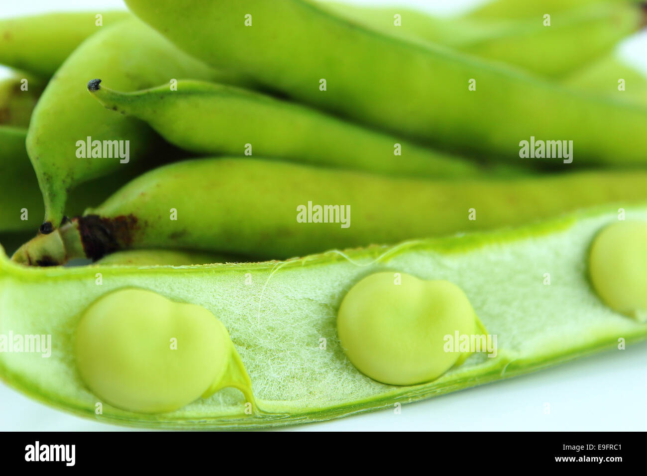broad bean pods and beans Stock Photo Alamy