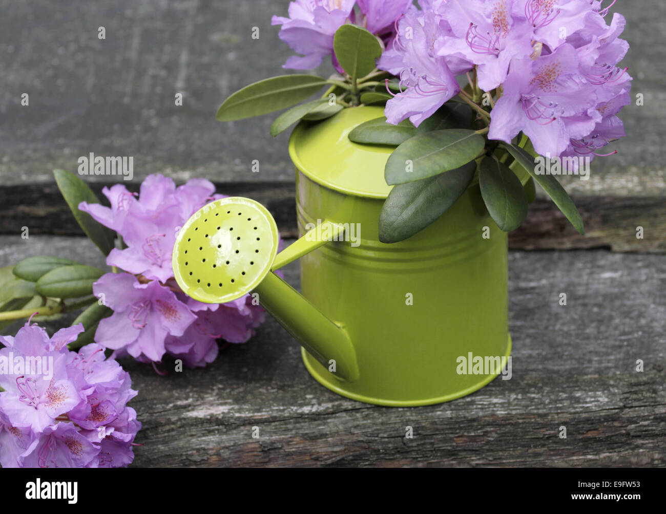 garden flowers and wood plank Stock Photo