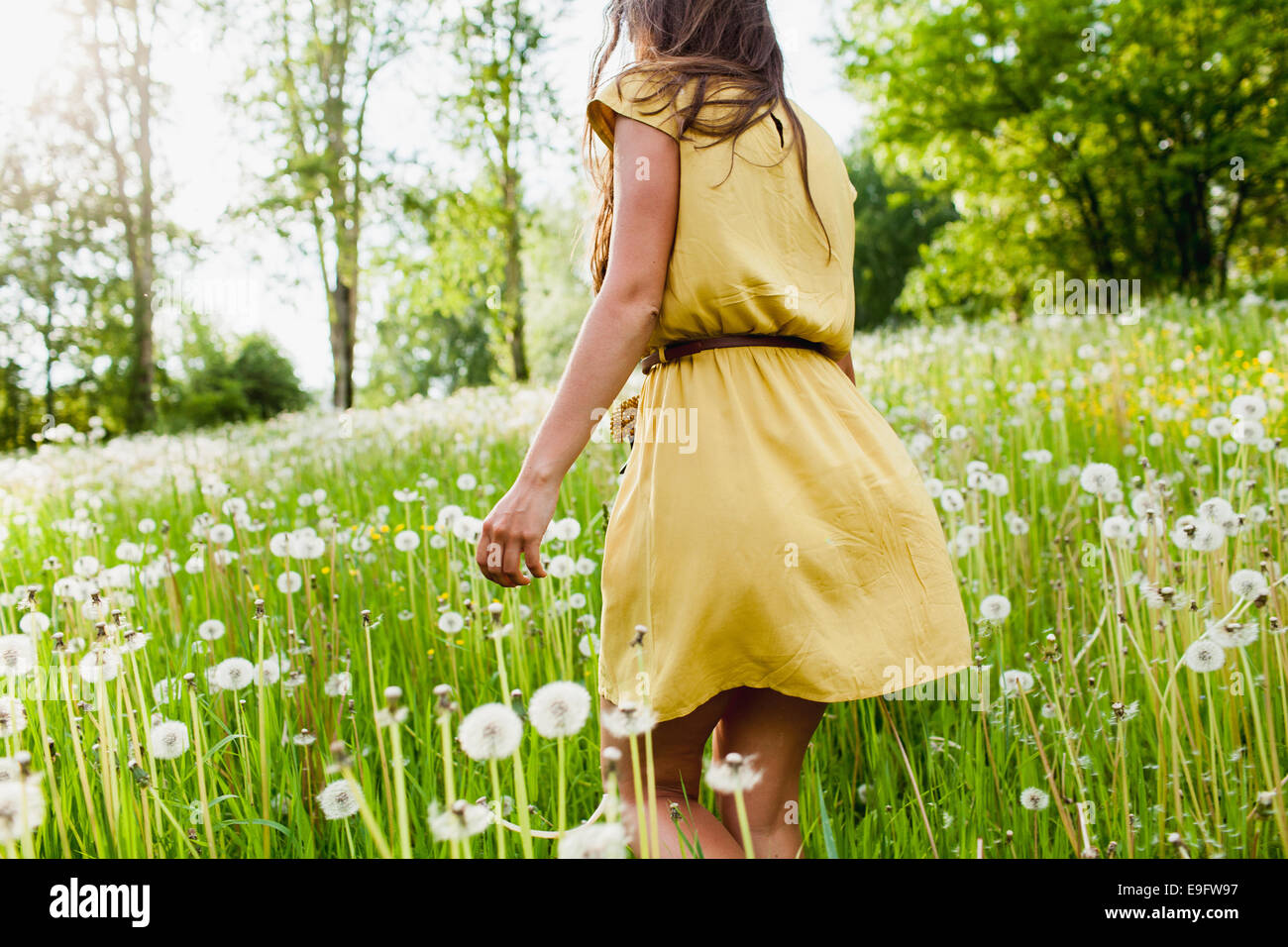 girl in a meadow Stock Photo - Alamy
