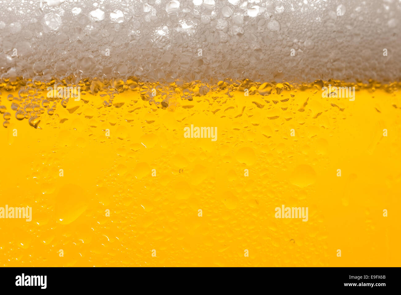 Beer Stock Photo