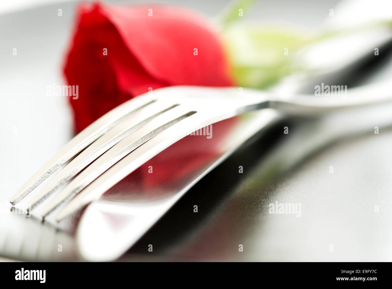 Composition of rose knife fork macro Stock Photo Alamy