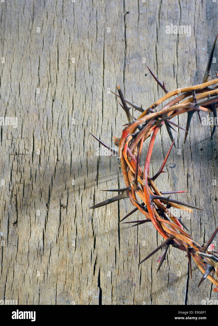 Holy crown of thorns hi-res stock photography and images - Alamy