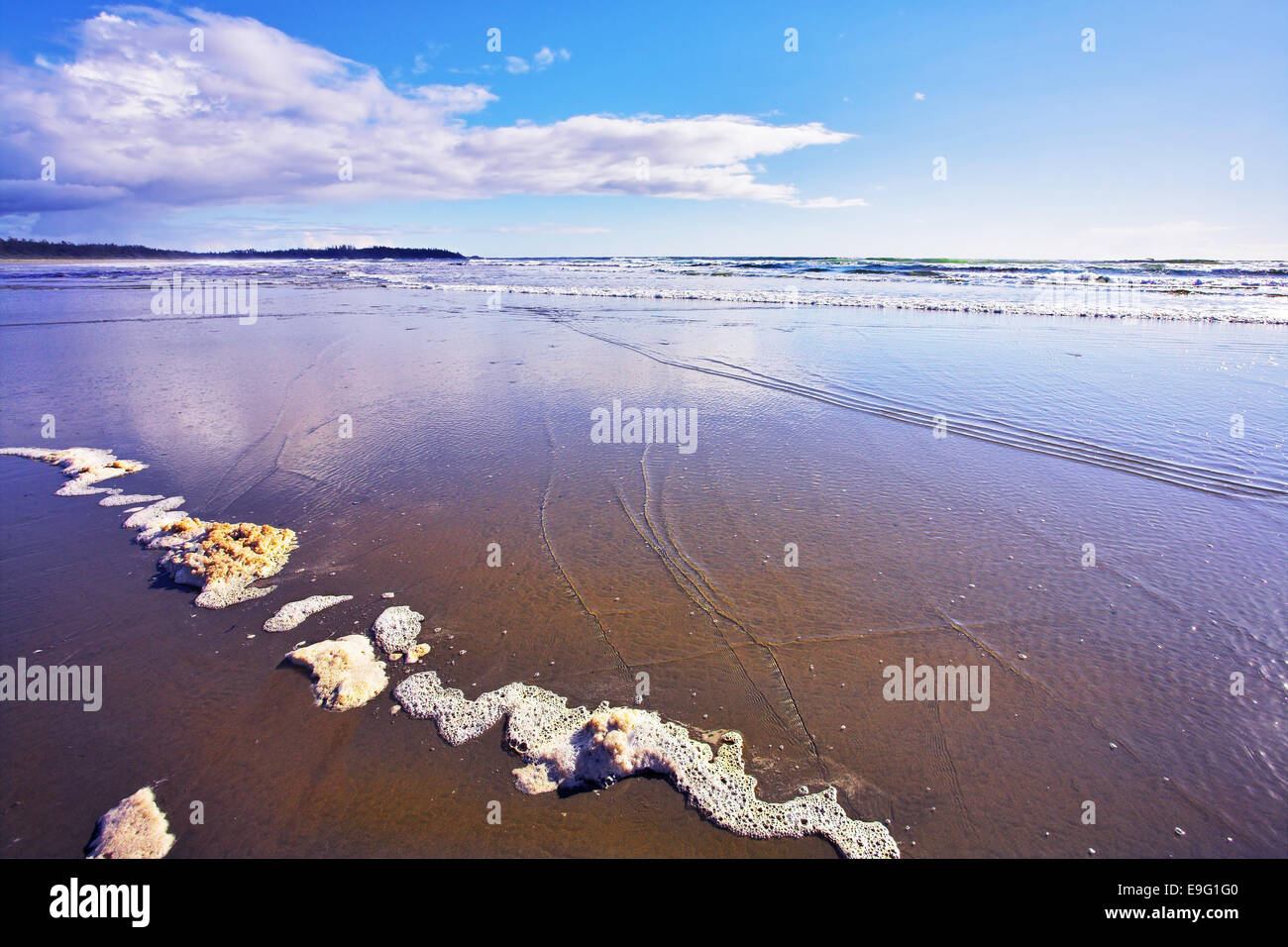 Coast Pacific ocean  in evening twilight Stock Photo