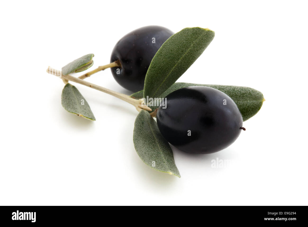 Sicily Nature Cut Out Stock Images Pictures Alamy