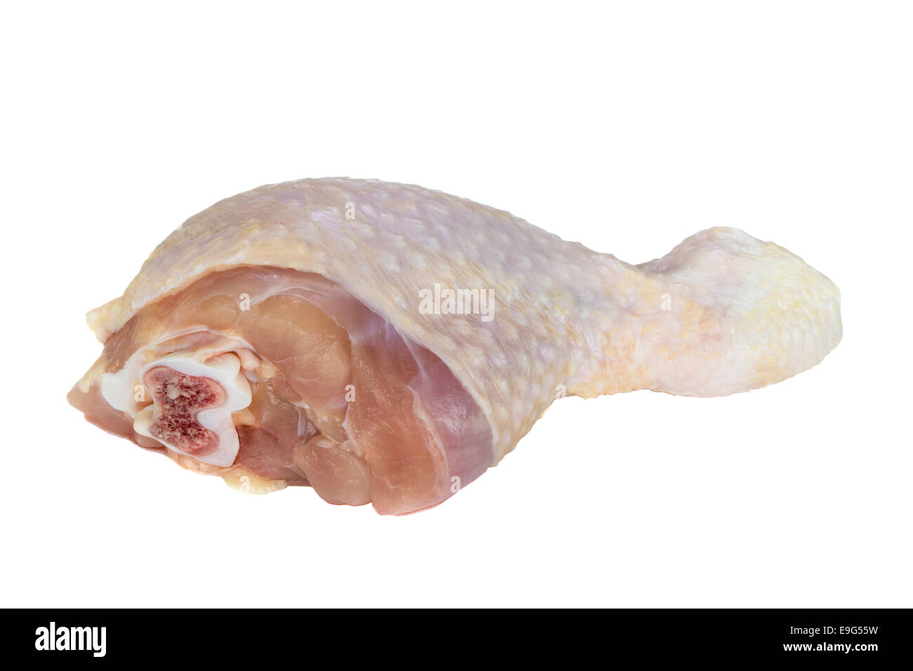 Chicken leg isolated on white background Stock Photo