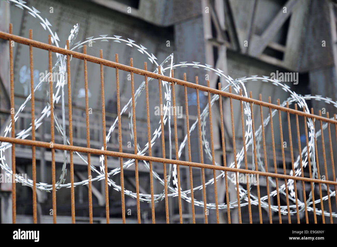 barbed wire, fence Stock Photo