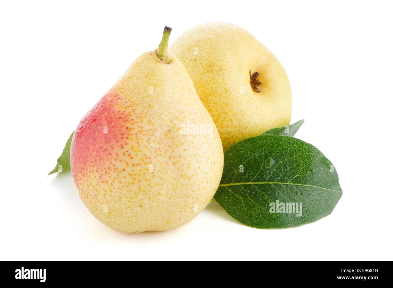 Two ripe pears Stock Photo - Alamy