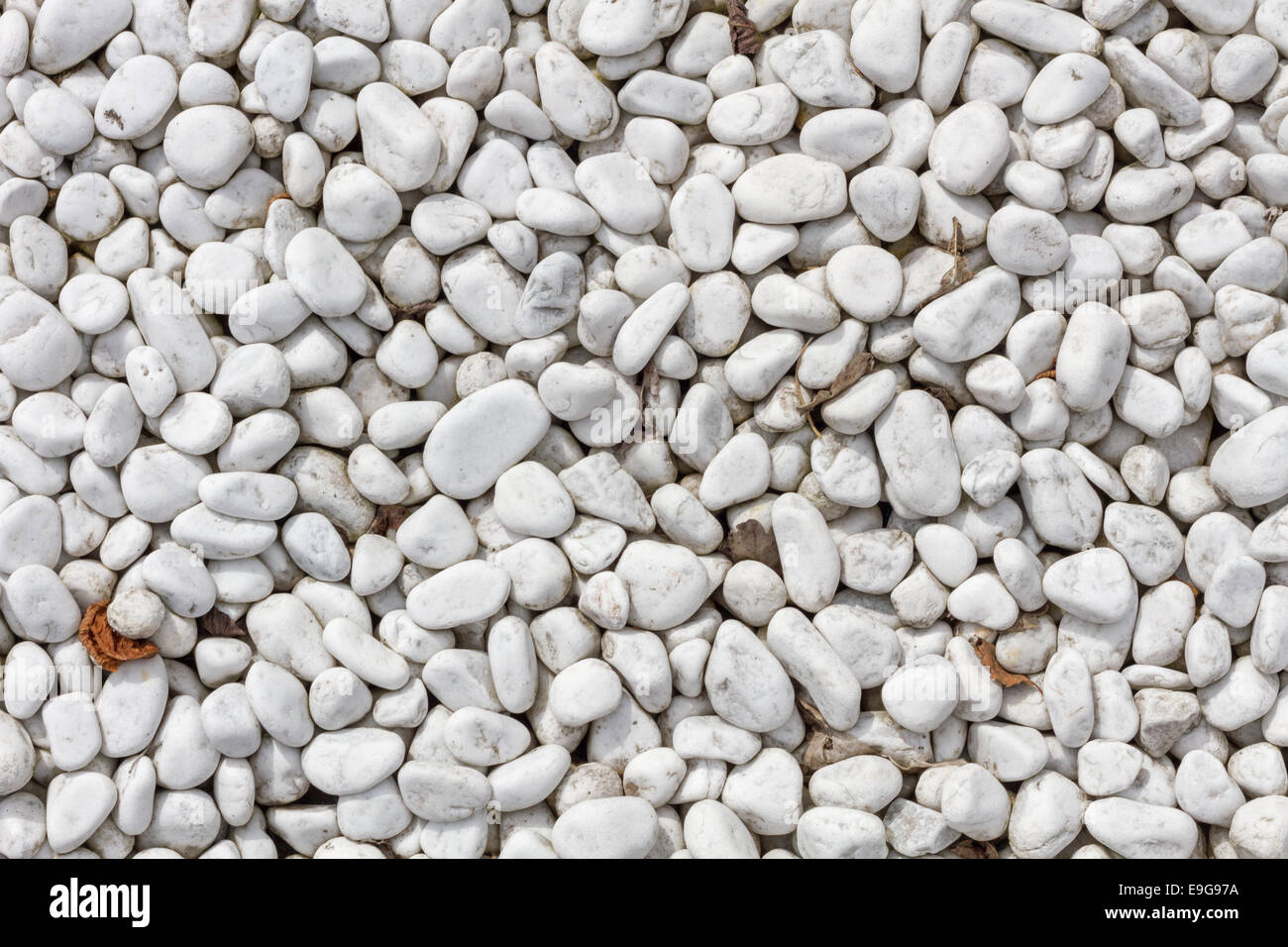 White pebbles in plan view Stock Photo