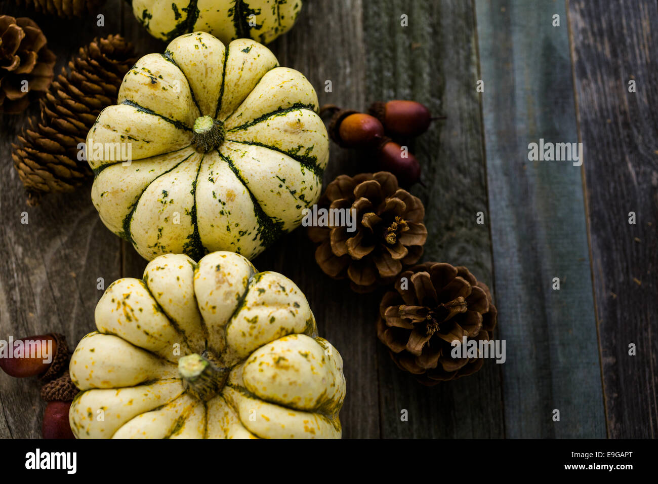 Fresh organic pumpkins from the local farmers market Stock Photo - Alamy