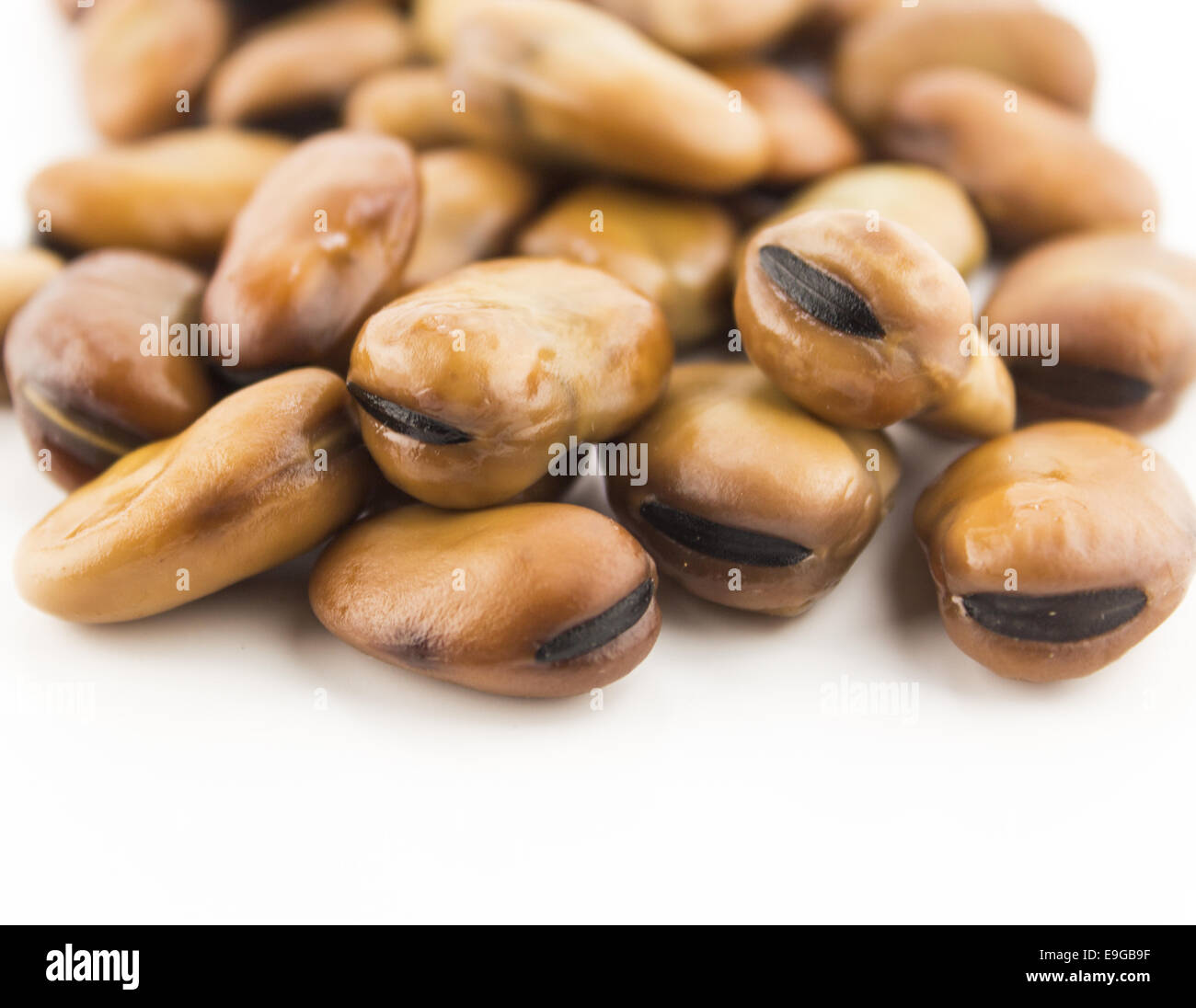 Dried brown fava beans broad hires stock photography and images Alamy