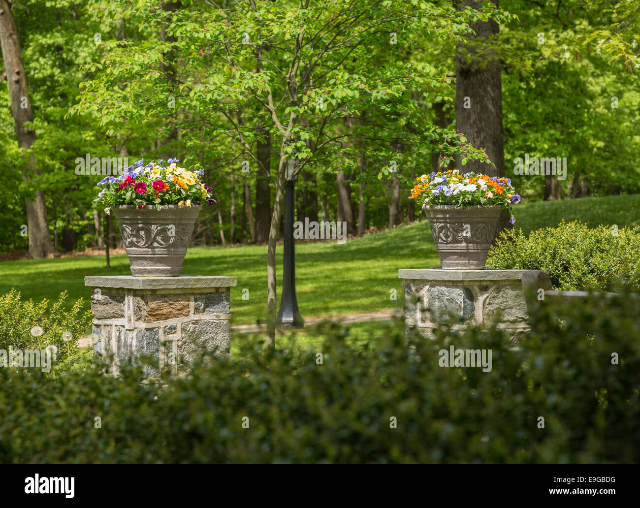 Two flower urns in sunlit garden Stock Photo