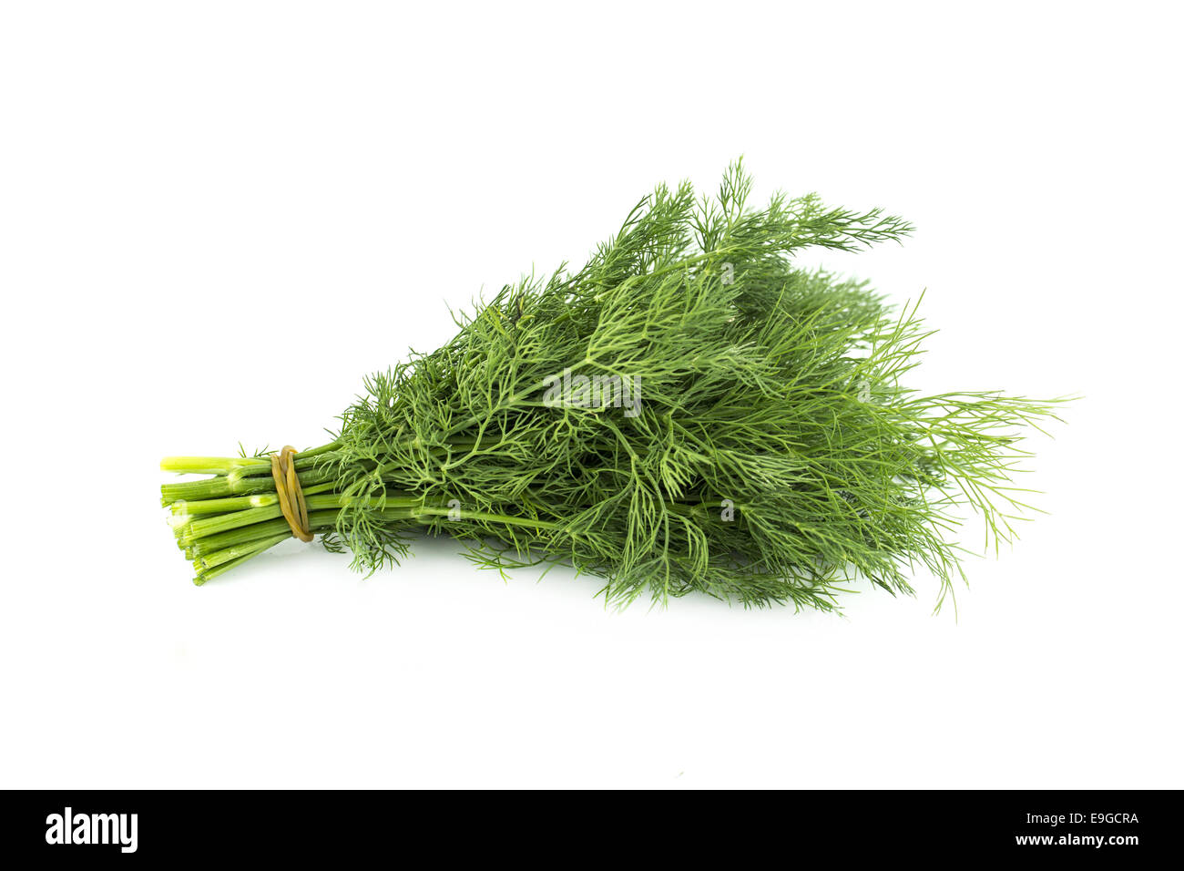a bunch of parsley Stock Photo Alamy