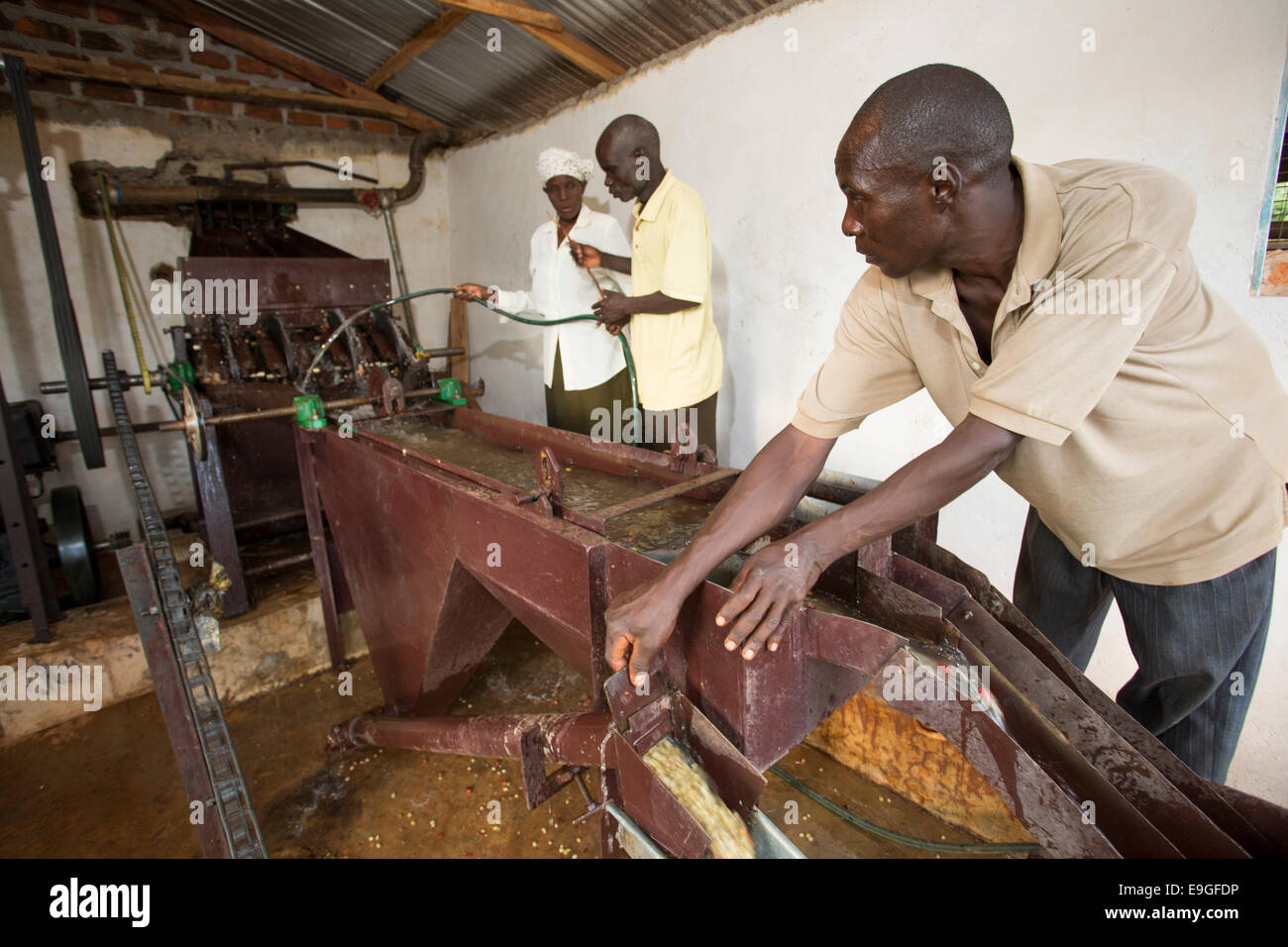 Farmers operate a coffee pulping machine at Orinde Farmers' Cooperative